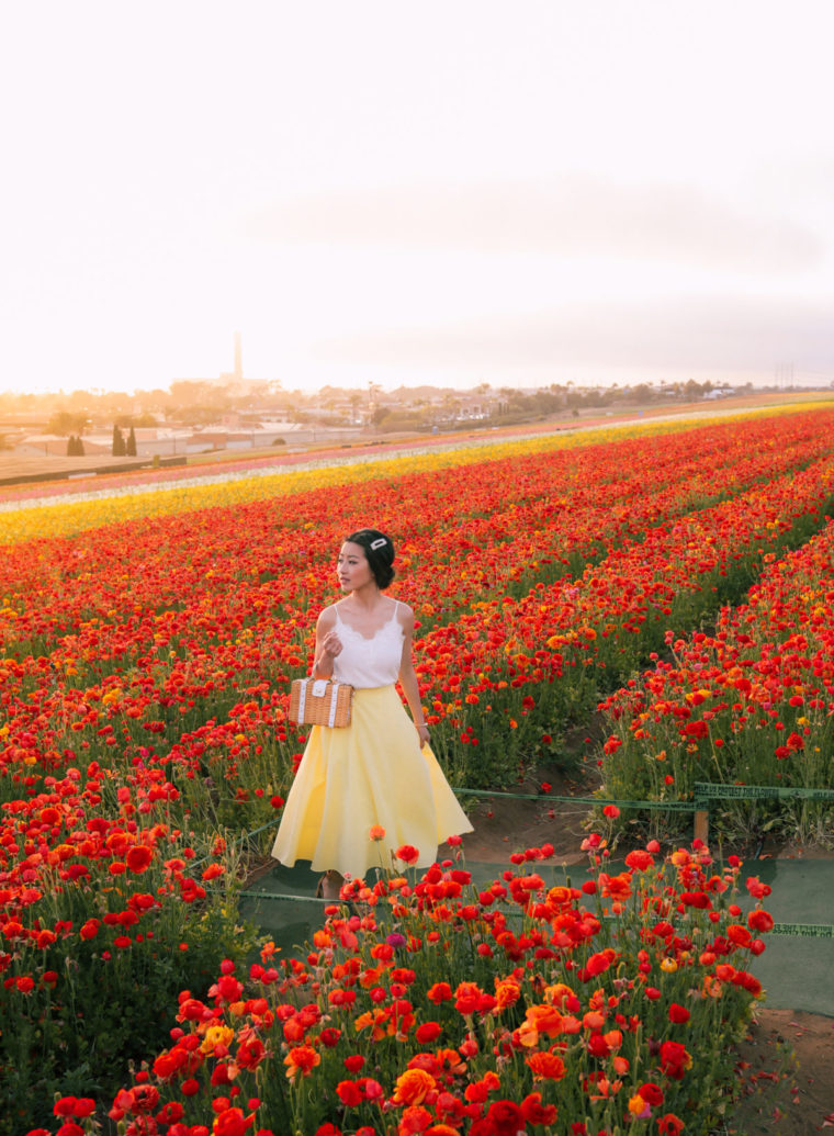 things to do in san diego carlsbad flower fields outfit